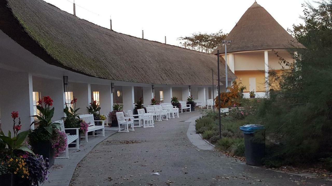 Fewo-Perner Moewenblick Ostseebad Kühlungsborn Eksteriør bilde